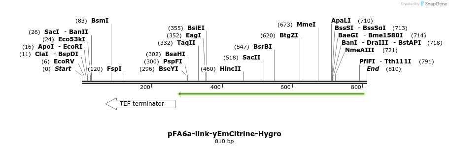 63599_map