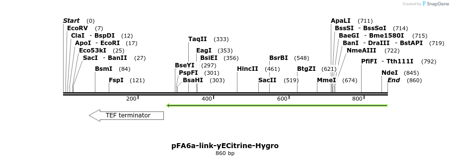 63600_map