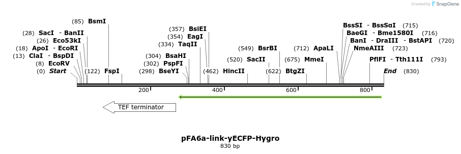 63601_map