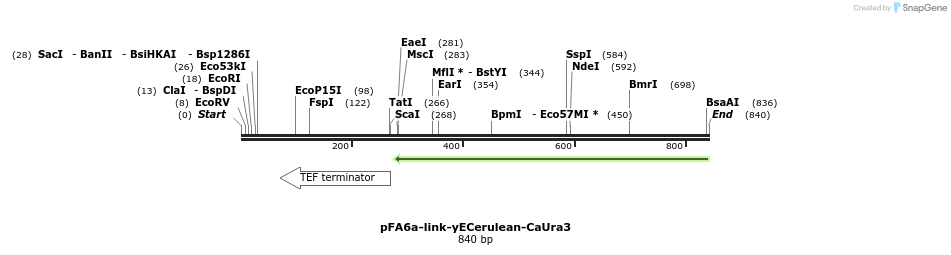 63602_map