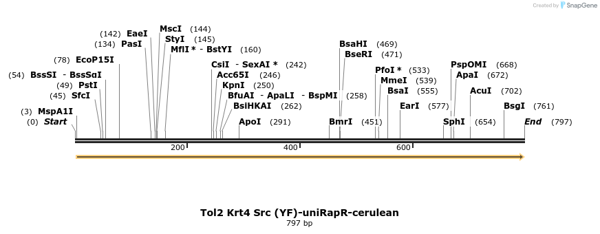 63604_map