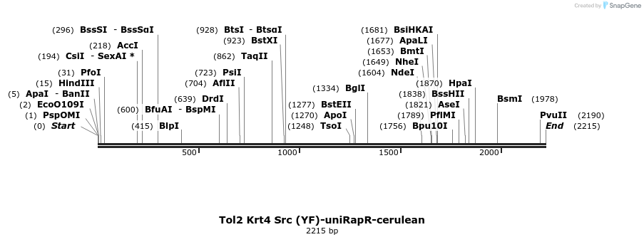 63606_map