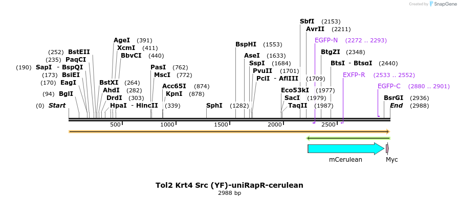 63607_map