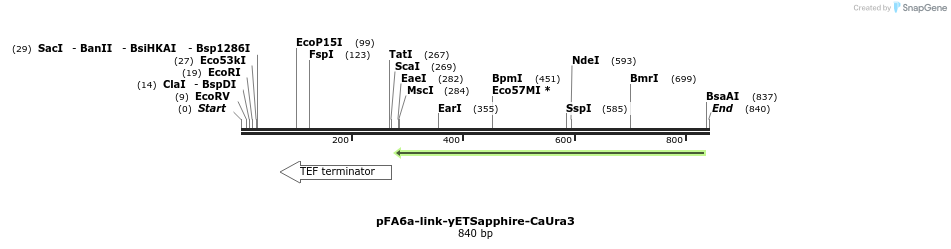 63609_map