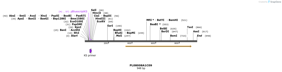 63627_map