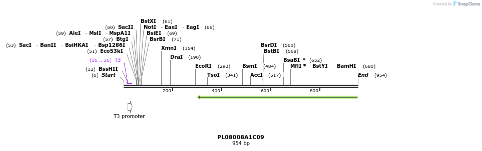 63629_map
