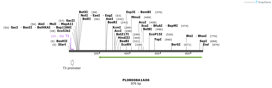 63632_map