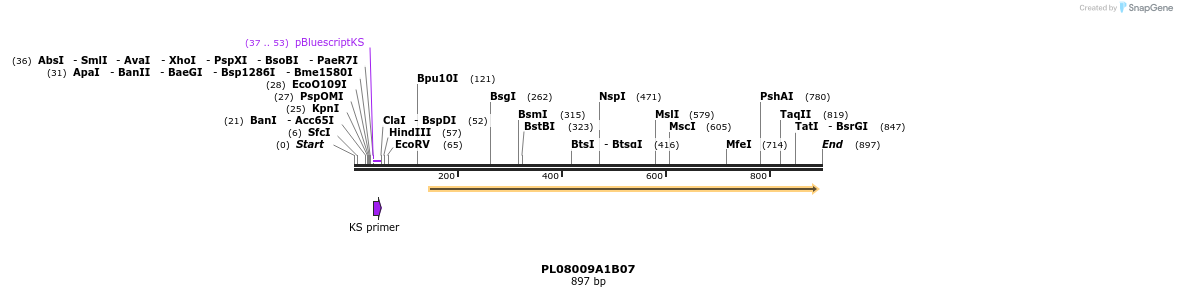63633_map