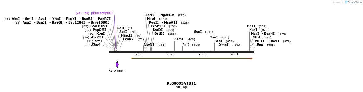 63645_map