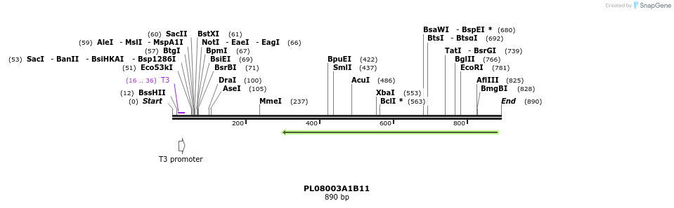 63647_map