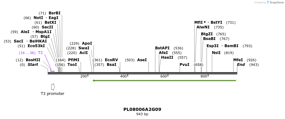 63659_map