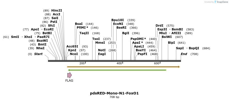 63667_map