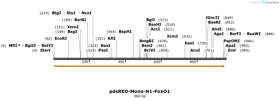 63669_map