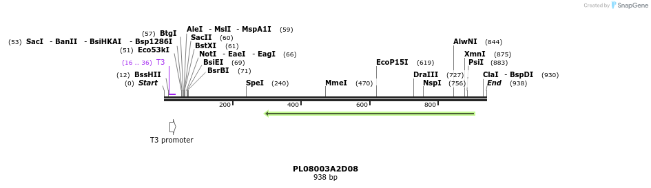 63673_map