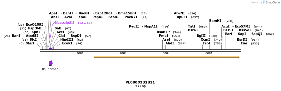 63674_map