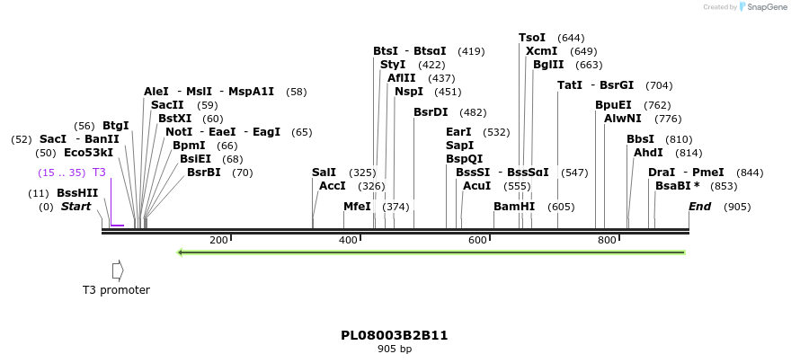 63675_map