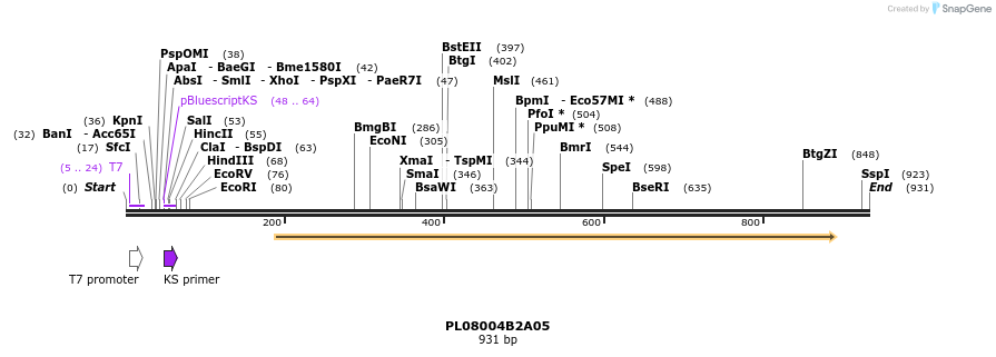 63676_map