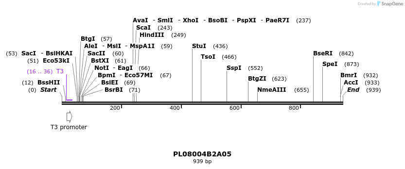63677_map