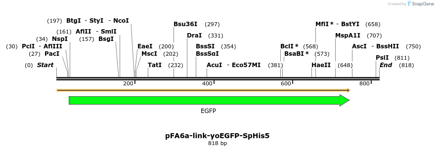 63679_map