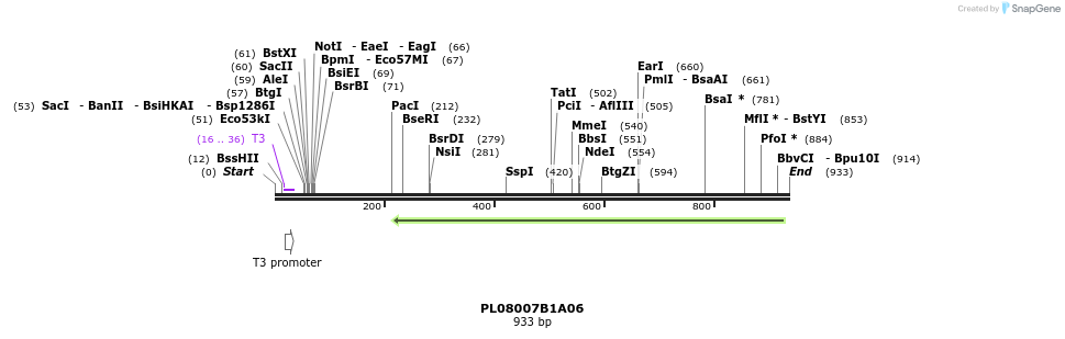 63681_map