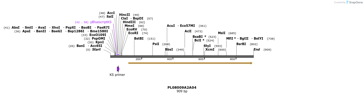63682_map