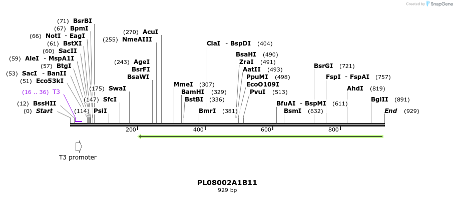 63689_map