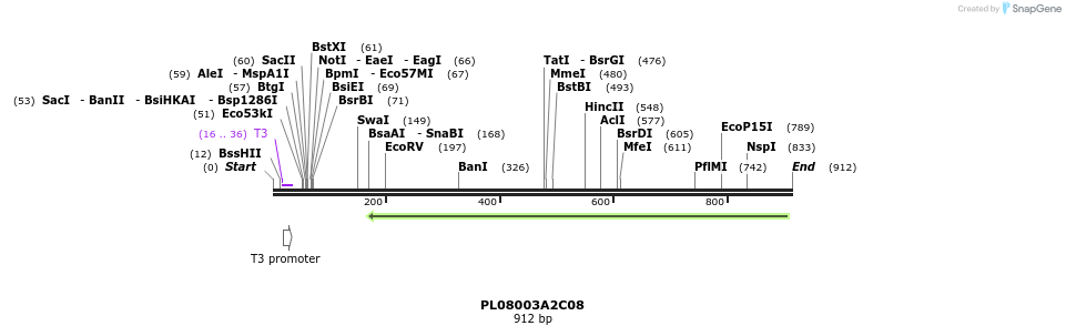 63691_map