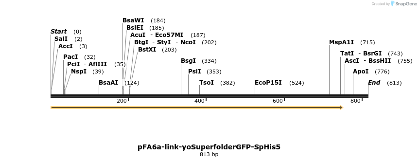 63695_map