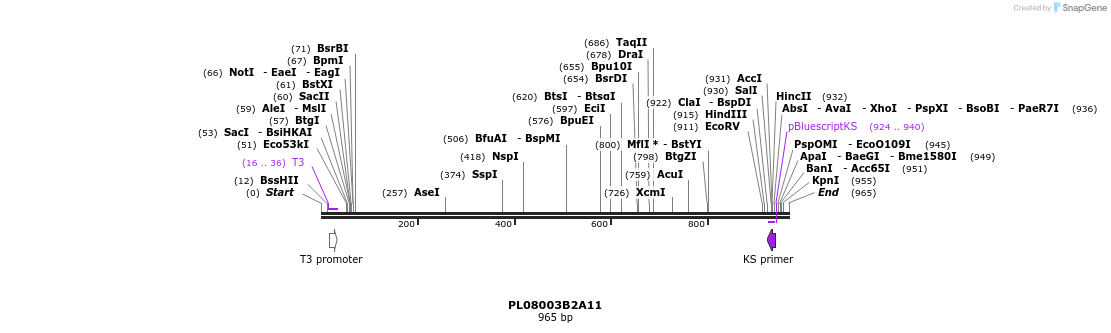 63696_map