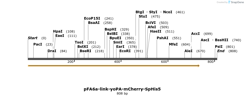 63697_map
