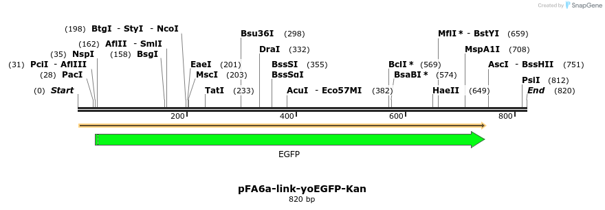 63698_map