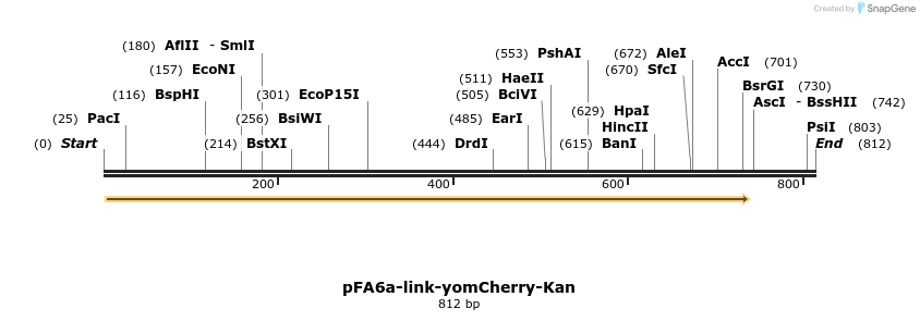 63699_map