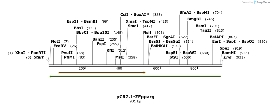 63701_map