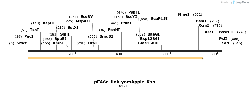 63702_map