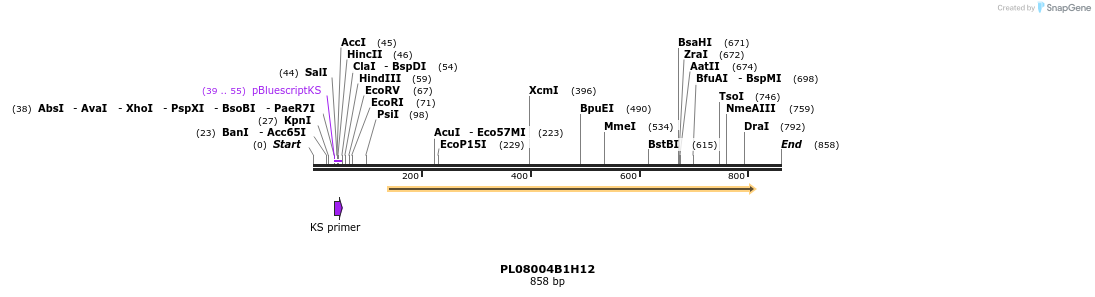 63703_map