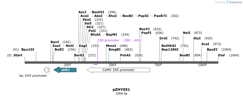 63705_map