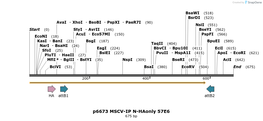 63707_map