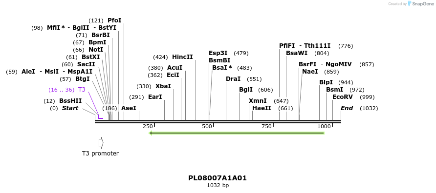 63709_map