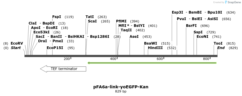 63710_map