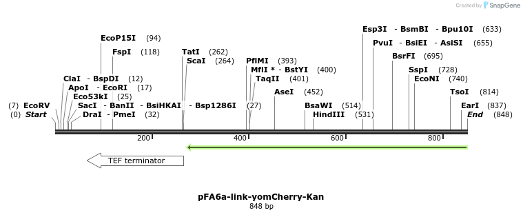 63712_map