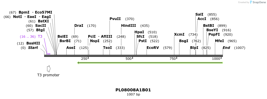 63713_map