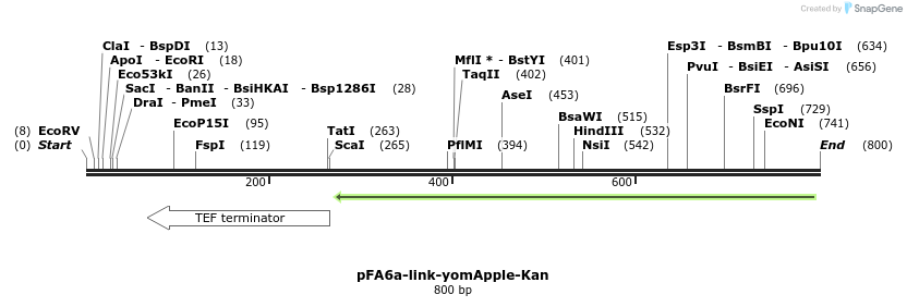 63715_map