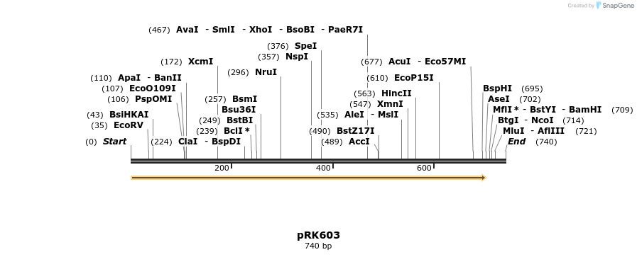 63719_map