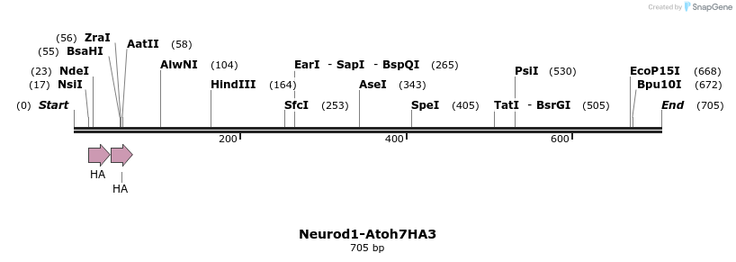 63722_map
