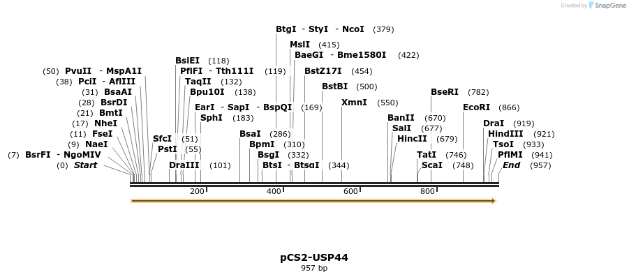 63725_map