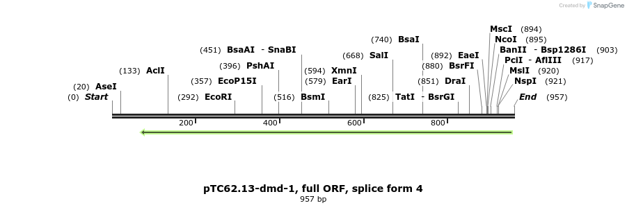 63729_map