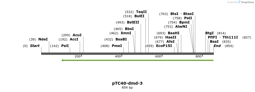 63731_map