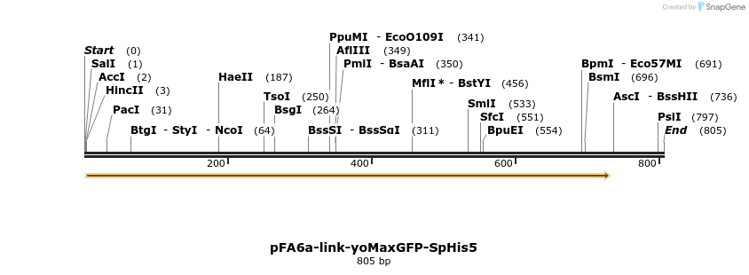 63732_map