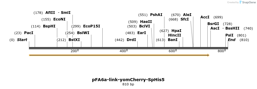63734_map