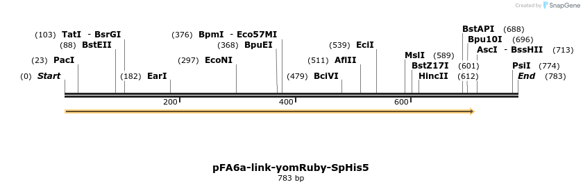 63735_map
